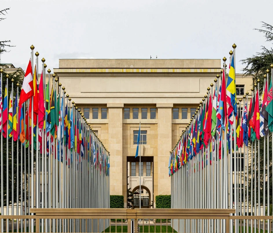 International student attending an online university program