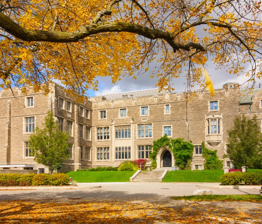 University governance and academic leadership
